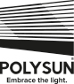 Polysun
